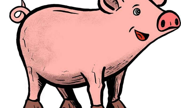 Hofschwein Grunzi