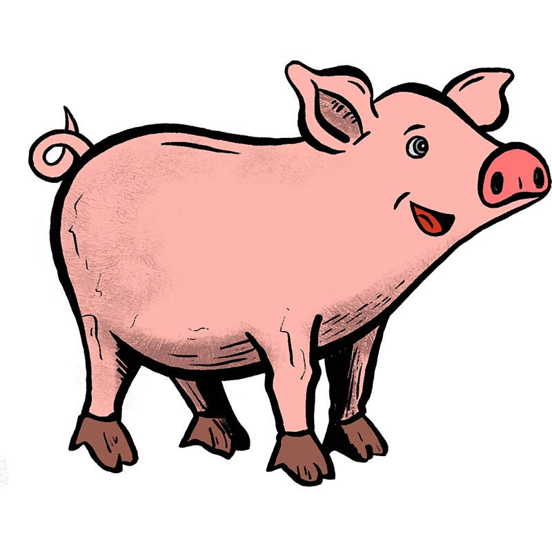 Hofschwein Grunzi