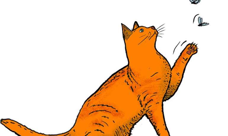 Katze Hildegard